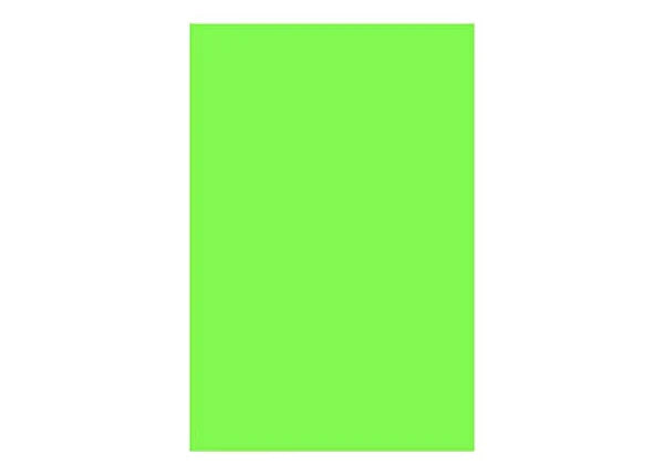 chart paper hard (1pcs)